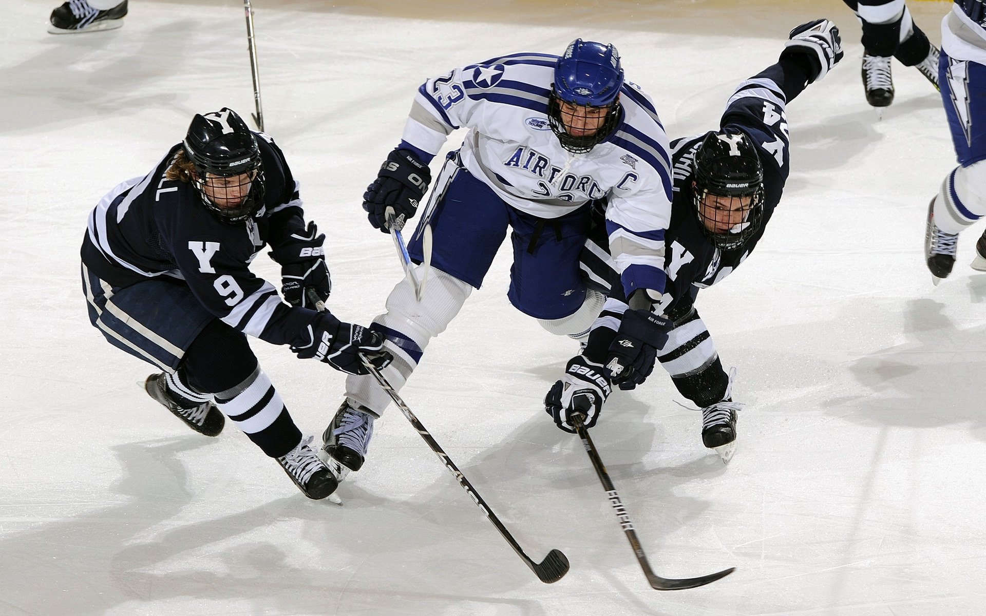 2026体育赛事冠军热门，2020体育赛事一览表